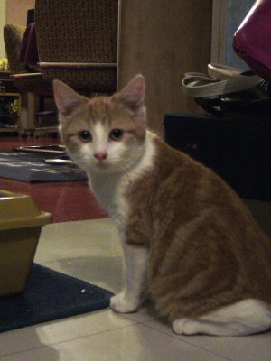 Hikaru qui se demande ce que je fous avec mon appareil photo