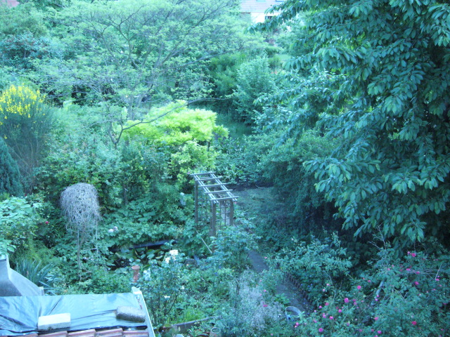 Jardin, oct 2008 Vue de la cuisine sur le jardin